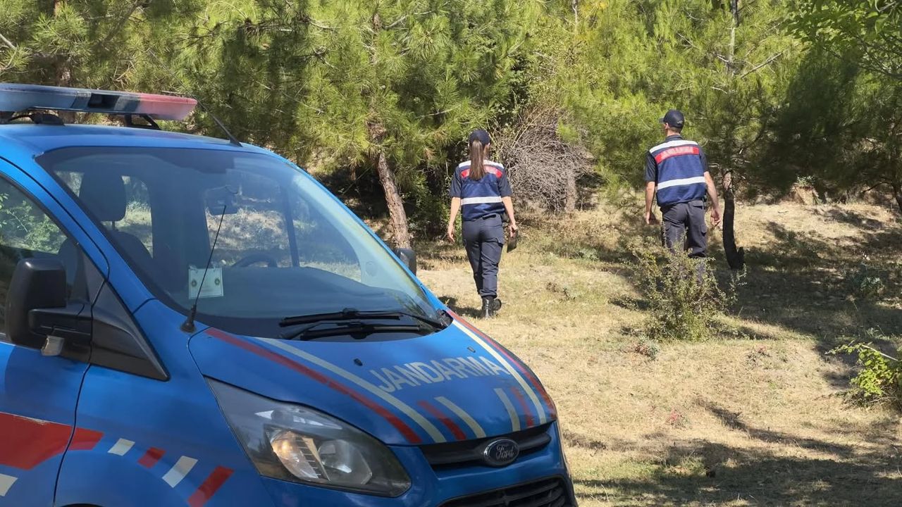 Sinop’ta jandarma, orman yangınlarına karşı teyakkuzda