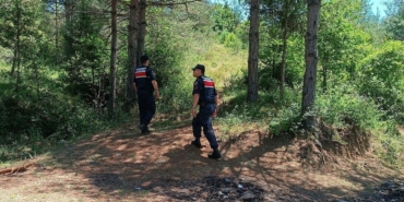 Sinop’ta jandarmadan orman devriyesi