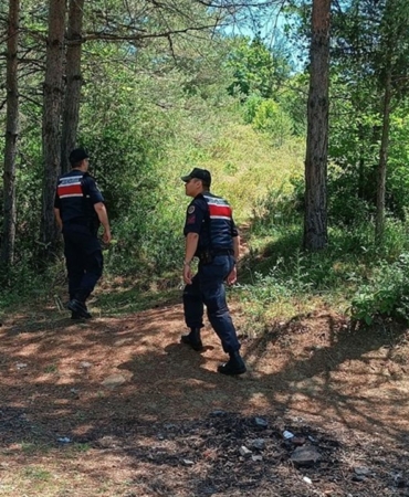 Sinop’ta jandarmadan orman devriyesi