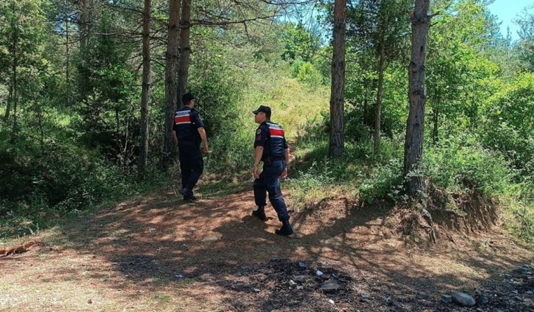 Sinop’ta jandarmadan orman devriyesi