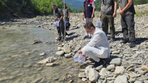 Sinop’ta kırmızı benekli alabalıklar doğaya bırakıldı