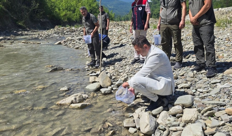 Sinop’ta kırmızı benekli alabalıklar doğaya bırakıldı