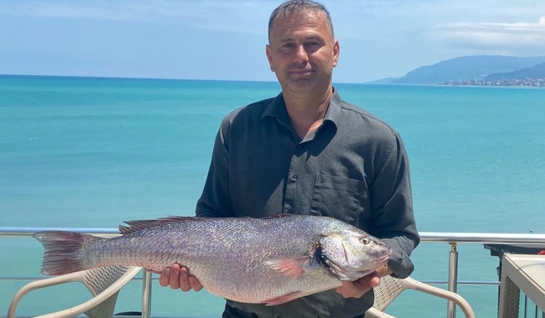 6,5 kilogramlık beyaz kötek balığı ağa takıldı
