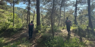 a-a-20250705-38480466-38480463-g-e-r-z-e-d-e-j-a-n-d-a-r-m-a-o-r-m-a-n-y-a-n-g-i-n-l-a-r-i-n-a-k-a-r-s-i-t-e-y-a-k-k-u-z-d-a