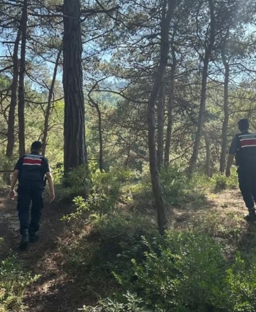 a-a-20250705-38480466-38480463-g-e-r-z-e-d-e-j-a-n-d-a-r-m-a-o-r-m-a-n-y-a-n-g-i-n-l-a-r-i-n-a-k-a-r-s-i-t-e-y-a-k-k-u-z-d-a