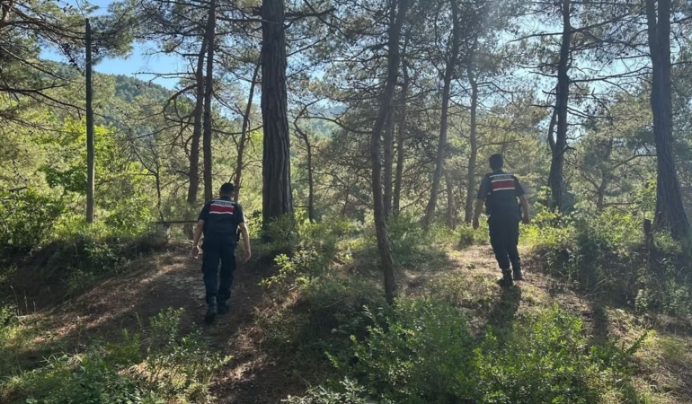 Jandarma ekipleri orman yangınlarına karşı teyakkuzda