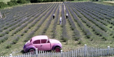 a-a-20250710-38522247-38522239-g-i-r-i-s-i-m-c-i-k-a-d-i-n-l-a-r-i-n-k-u-r-d-u-g-u-l-a-v-a-n-t-a-t-a-r-l-a-l-a-r-i-s-i-n-o-p-t-u-r-i-z-m-i-n-i-r-e-n-k-l-e-n-d-i-r-d-i