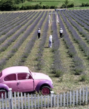 a-a-20250710-38522247-38522239-g-i-r-i-s-i-m-c-i-k-a-d-i-n-l-a-r-i-n-k-u-r-d-u-g-u-l-a-v-a-n-t-a-t-a-r-l-a-l-a-r-i-s-i-n-o-p-t-u-r-i-z-m-i-n-i-r-e-n-k-l-e-n-d-i-r-d-i