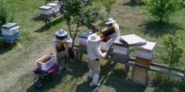 a-a-20250722-38627797-38627794-g-u-r-o-r-m-a-n-l-a-r-d-a-u-r-e-t-i-l-e-n-t-e-s-c-i-l-l-i-s-i-n-o-p-k-e-s-t-a-n-e-b-a-l-i-n-i-n-h-a-s-a-d-i-t-a-m-a-m-l-a-n-d-i