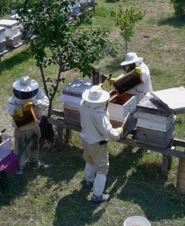 a-a-20250722-38627797-38627794-g-u-r-o-r-m-a-n-l-a-r-d-a-u-r-e-t-i-l-e-n-t-e-s-c-i-l-l-i-s-i-n-o-p-k-e-s-t-a-n-e-b-a-l-i-n-i-n-h-a-s-a-d-i-t-a-m-a-m-l-a-n-d-i