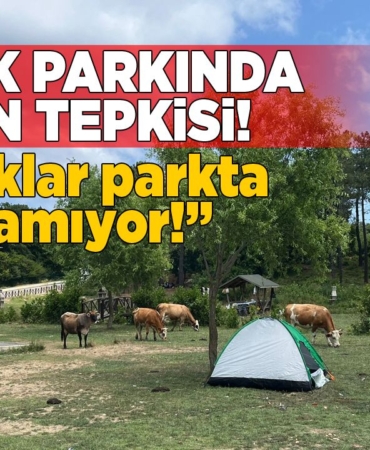 aklimanparkhijyen
