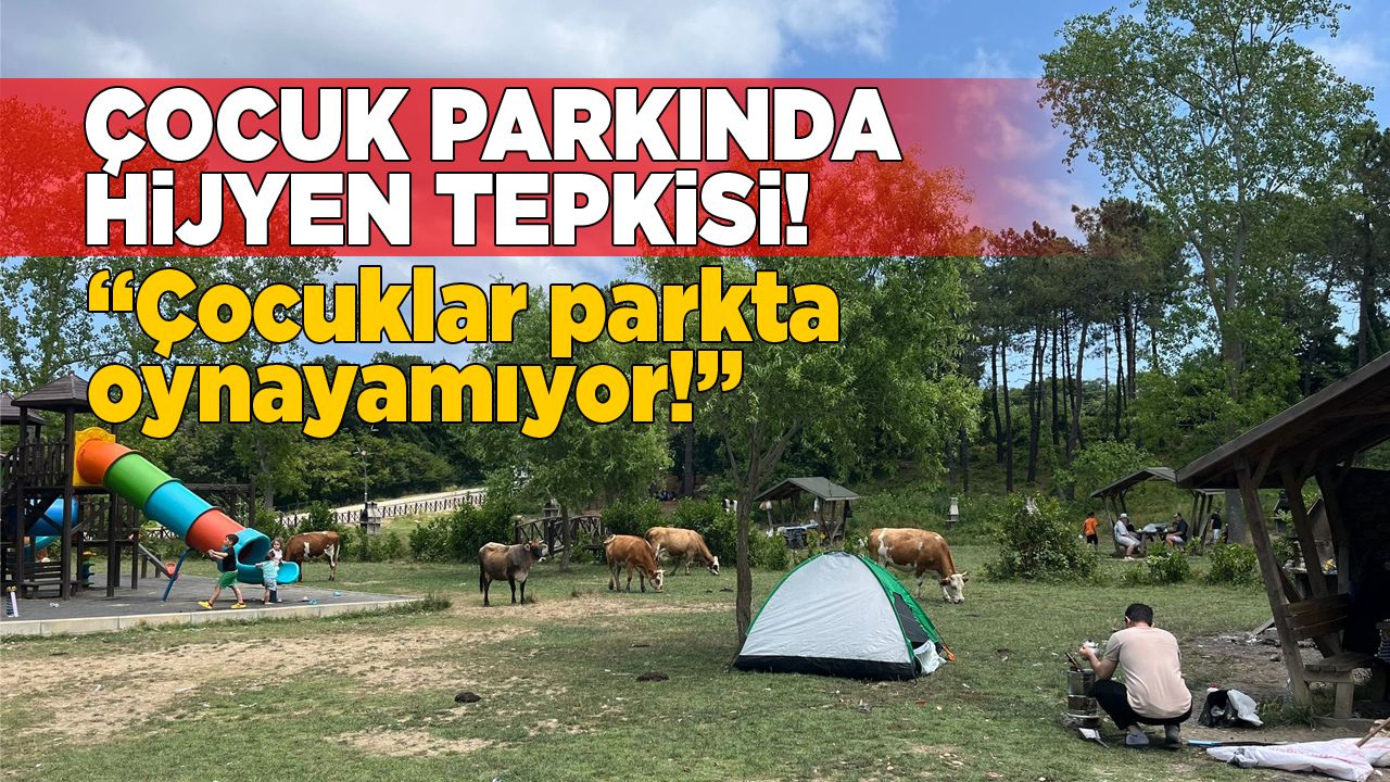 aklimanparkhijyen