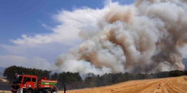 aniz-yangini-ormana-sicradi