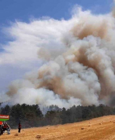 aniz-yangini-ormana-sicradi