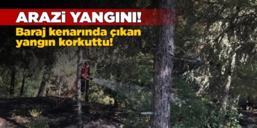 Yangında ağaçlık alan zarar gördü