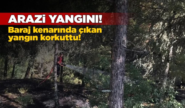 Yangında ağaçlık alan zarar gördü