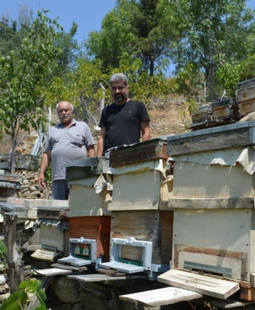 ari-kovanlarina-zarar-veren-ayi-fotokapanla-goruntulendi