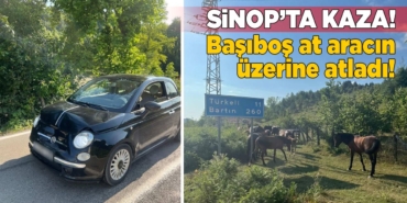 Sinop’ta başıboş at aracın üzerine atladı!