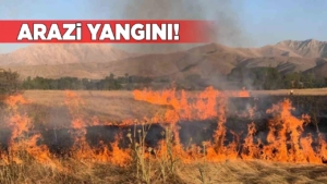 boyabataraziyangini