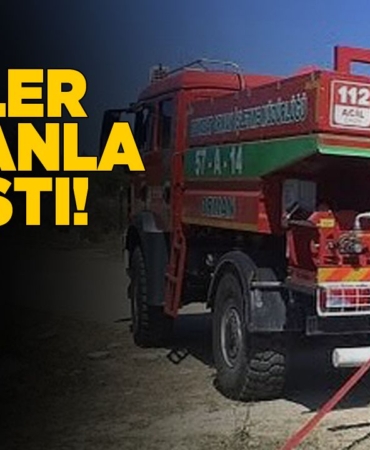 Yangının ağaçlara sıçramaması için yoğun mücadele