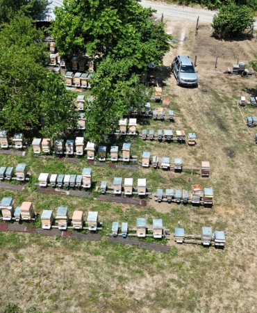 HOBİ OLARAK BAŞLADIĞI ARICILIK GEÇİM KAYNAĞI HALİNE DÖNÜŞTÜ