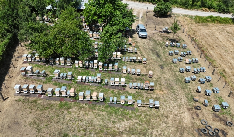 HOBİ OLARAK BAŞLADIĞI ARICILIK GEÇİM KAYNAĞI HALİNE DÖNÜŞTÜ