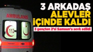 dfjkk-1