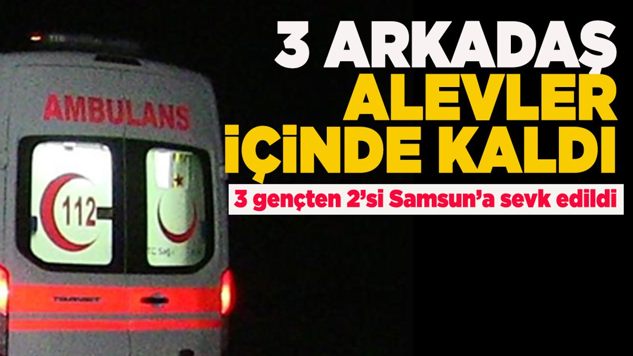dfjkk