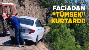 dikmemyaykinkaza