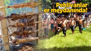 dikmenguresleri-copy