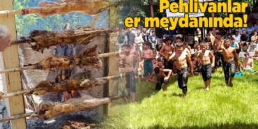 dikmenguresleri-copy