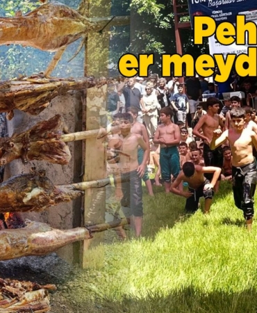 dikmenguresleri-copy