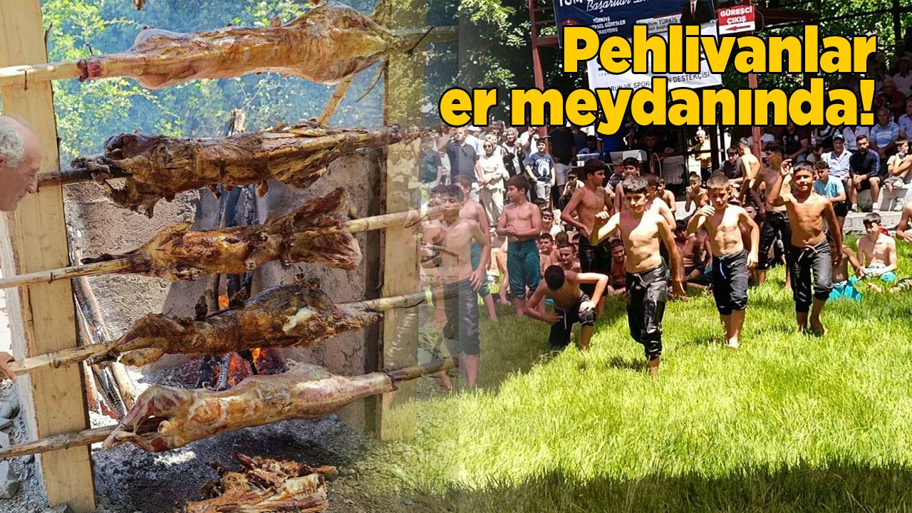 dikmenguresleri-copy