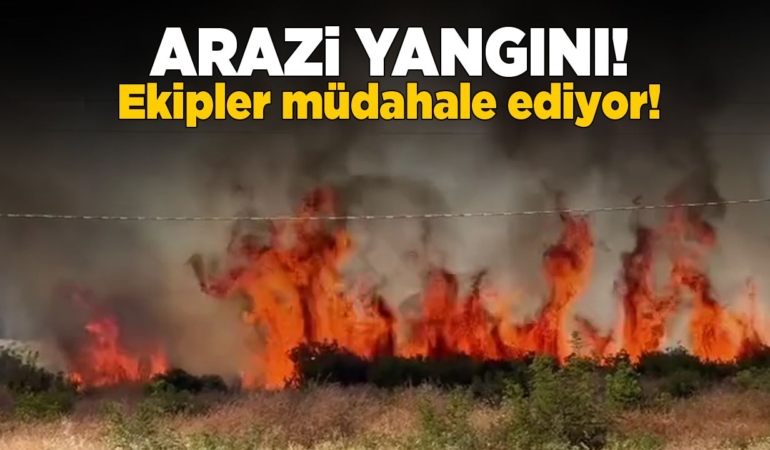 Otluk arazide yangın çıktı