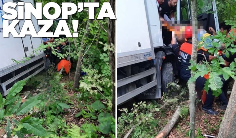 Yoldan çıkan kamyon ağaçlık alana uçtu