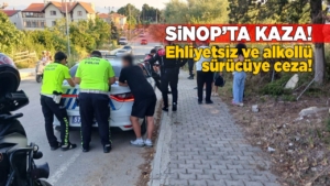 ehliyetsizalkollu