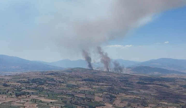 Ekili arazide yangın çıktı