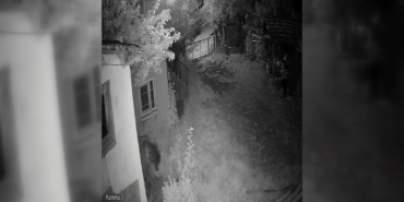 EVİN BAHÇESİNE GİREN AYI KAMERAYA YANSIDI