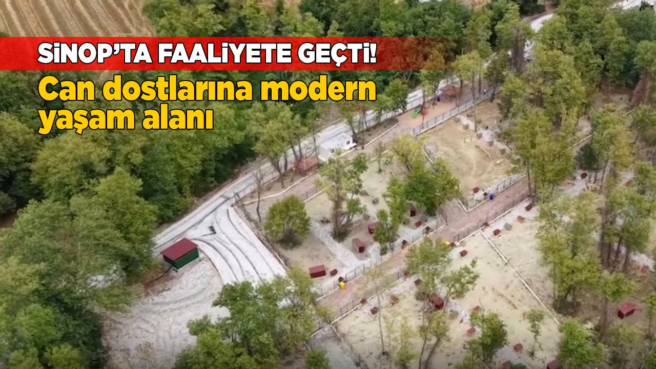 gerzehayvanbakimevi