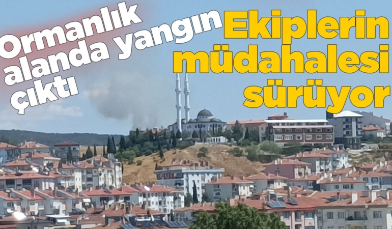 Ormanlık alanda yangın çıktı
