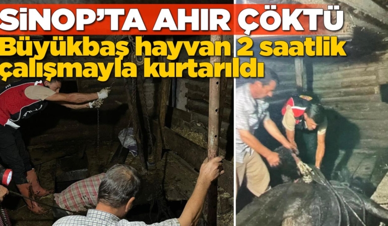 Sinop’ta ahır çöktü