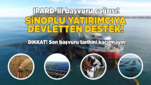 i-p-a-r-d-i-i-i-1