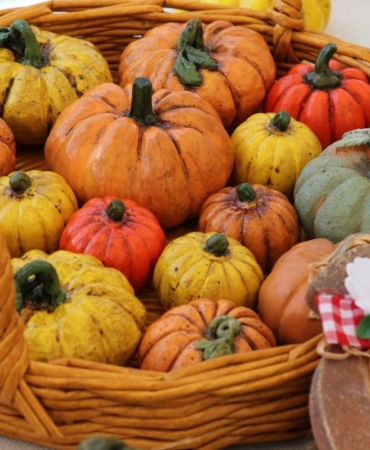 kadin-emegi-festivali-duzenlendi