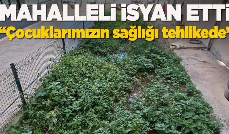 Gelincik Mahallesi’nde kanalizasyon sorunu çözüm bekliyor