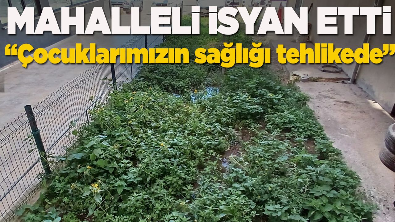 kanalizasyon