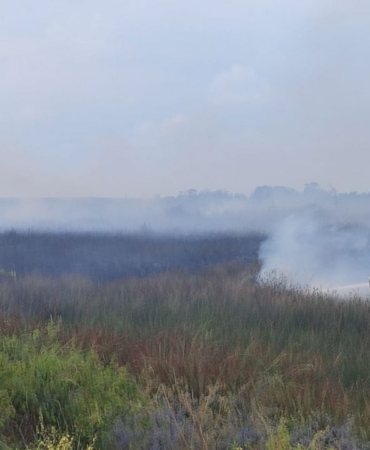 kus-cennetinde-cikan-yangin-sonduruldu