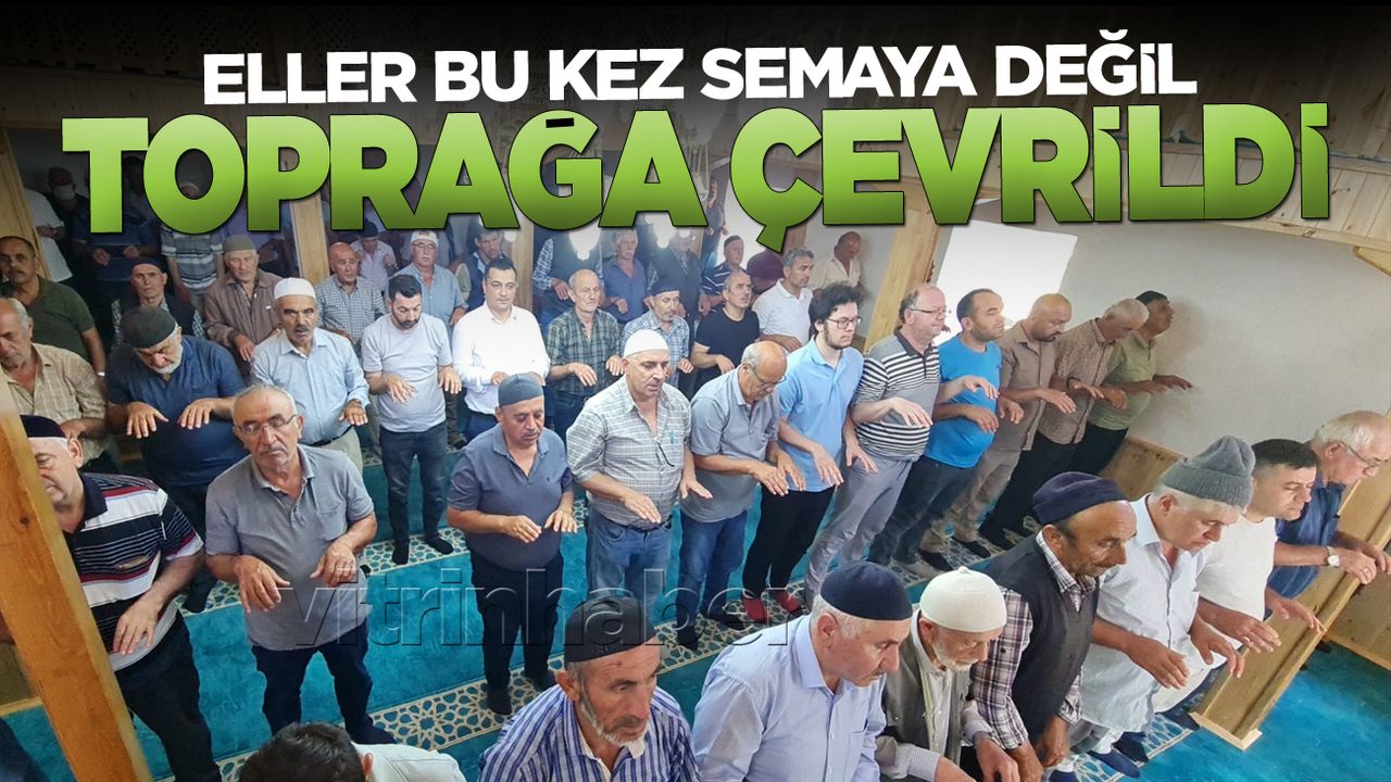 lmomktckmvtmktv