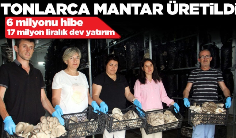 Sinop’ta kadın girişimciler el ele verdi