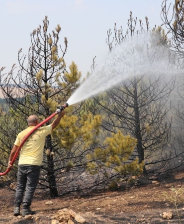 otluk-arazide-cikip-ormanlik-alana-sicrayan-yangin-sonduruldu