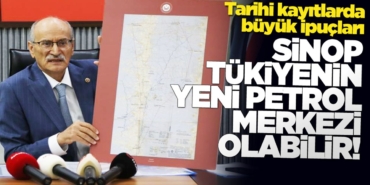 petrol8927387287235237621378